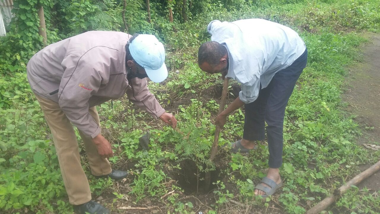 Students taking part in a tree-planting activity